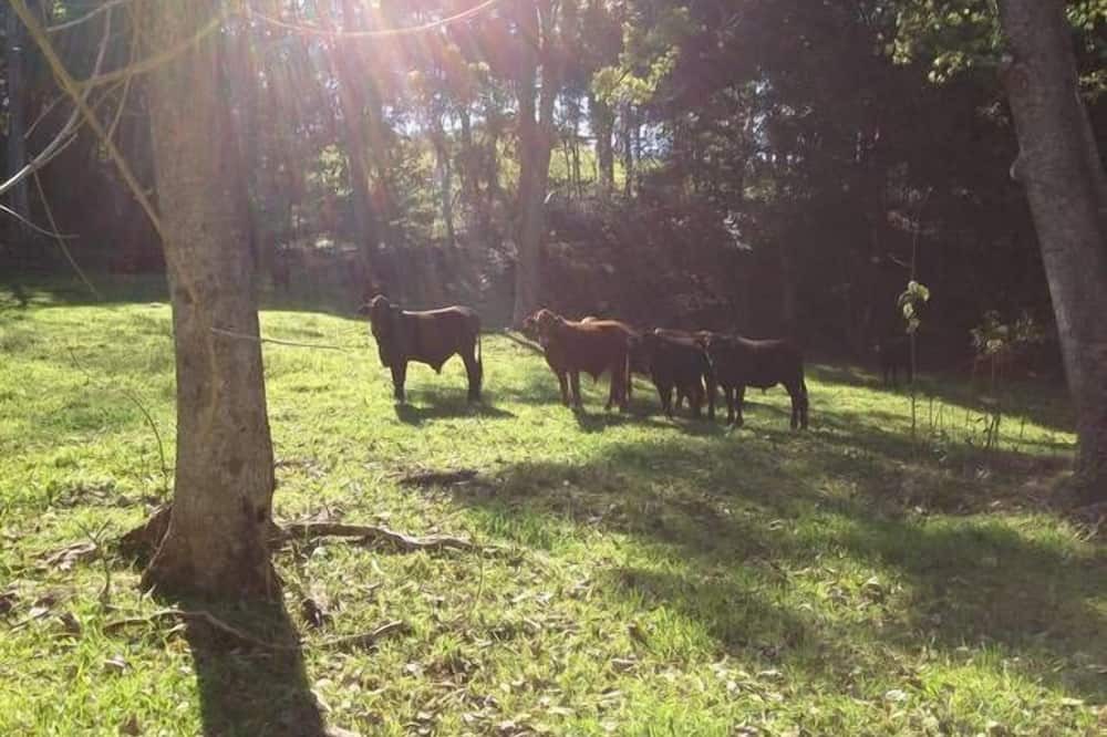 Photo of Outdoor in Upper Burringbar