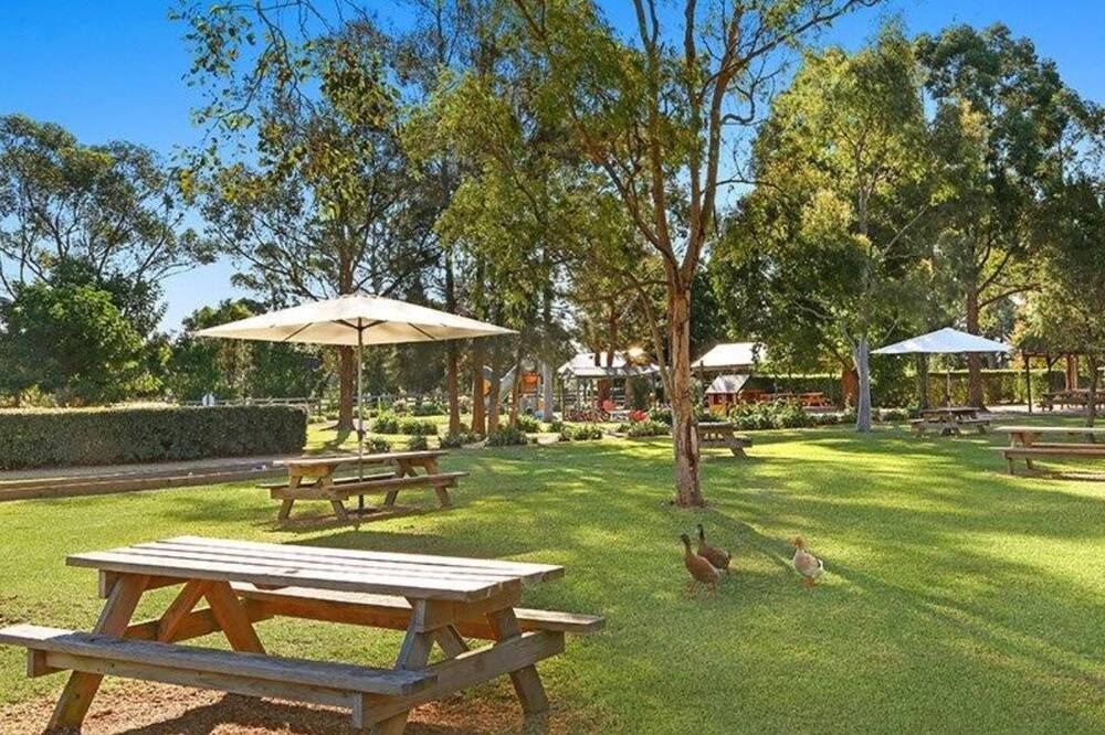 Photo of Outdoor in Wyong Creek