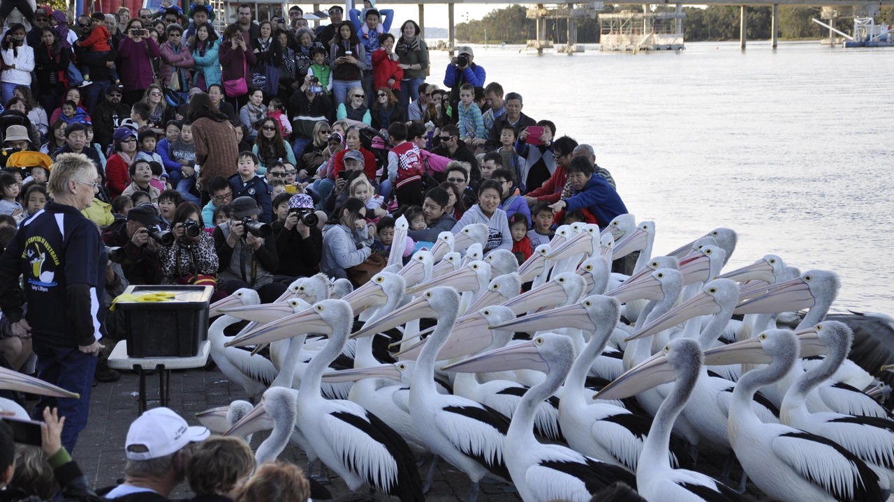 Photo of Others in Magenta Shores