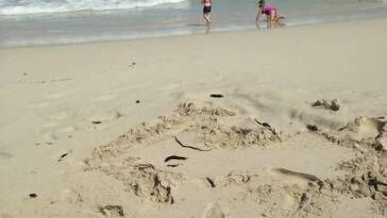 Photo of Others in Jindalee