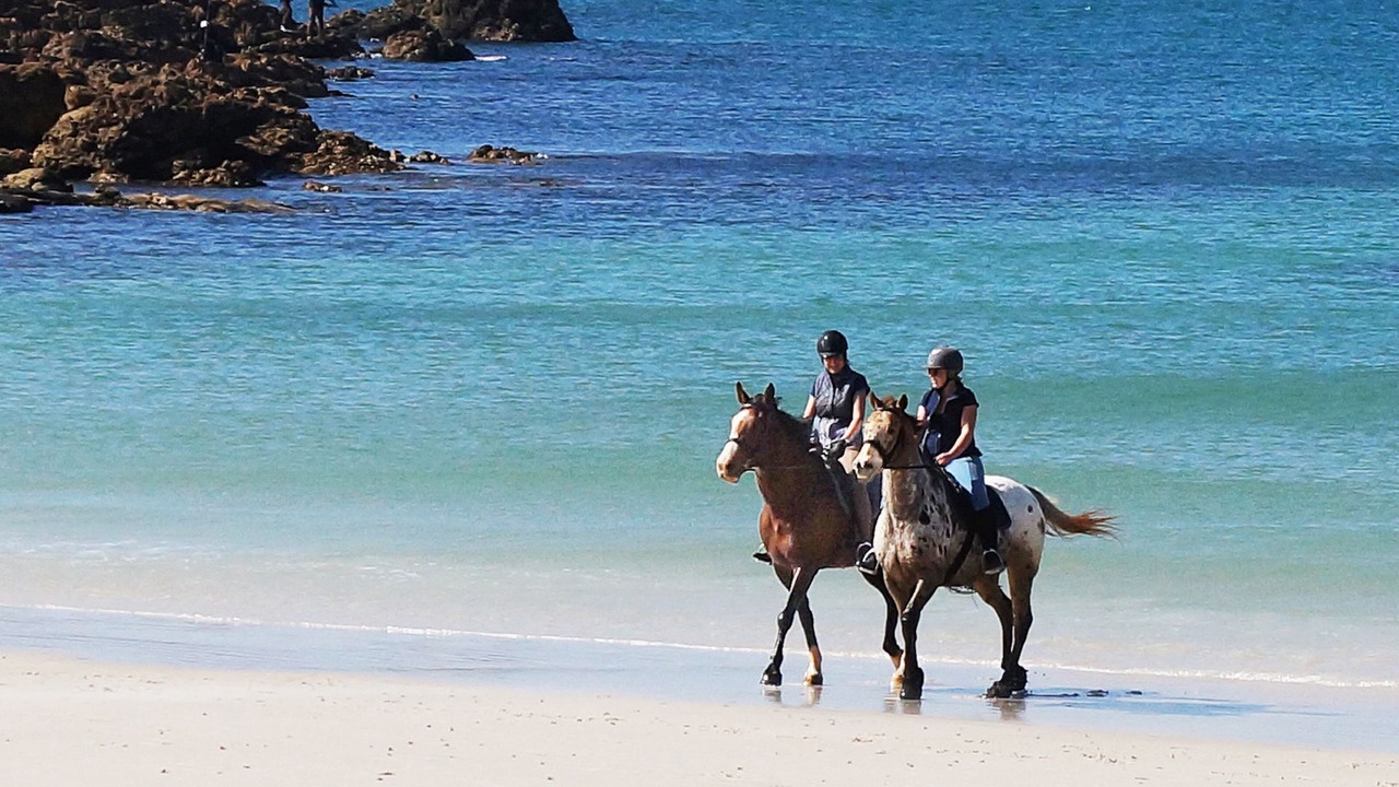 Photo of Others in Boat Harbour Beach