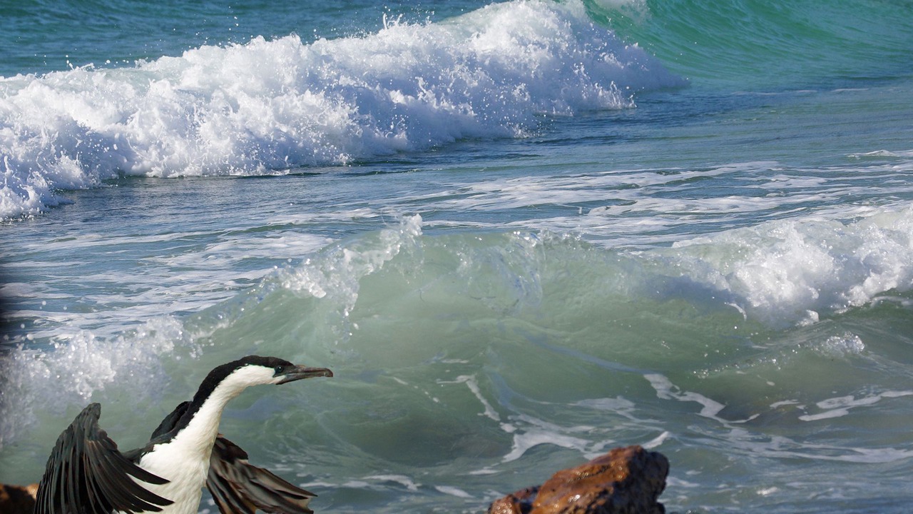 Photo of Others in Boat Harbour Beach