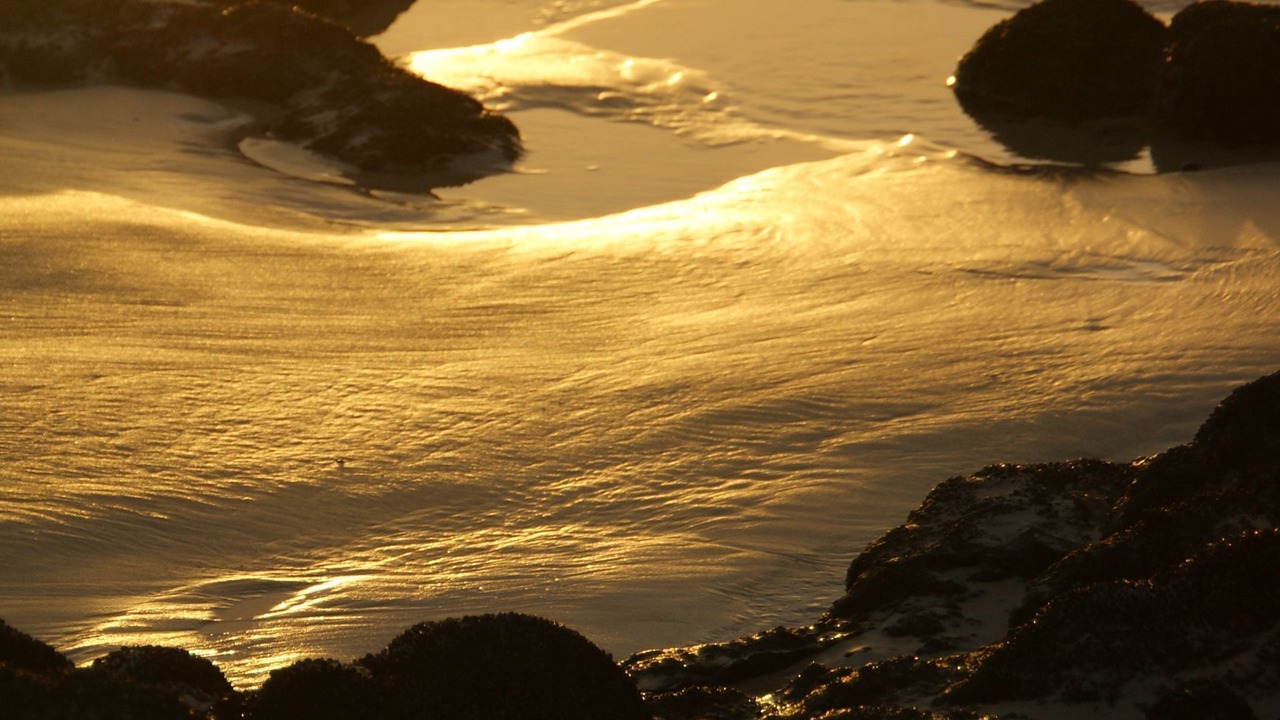 Photo of Others in Boat Harbour Beach