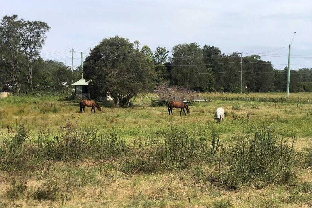 Photo of Outdoor in Salt Ash