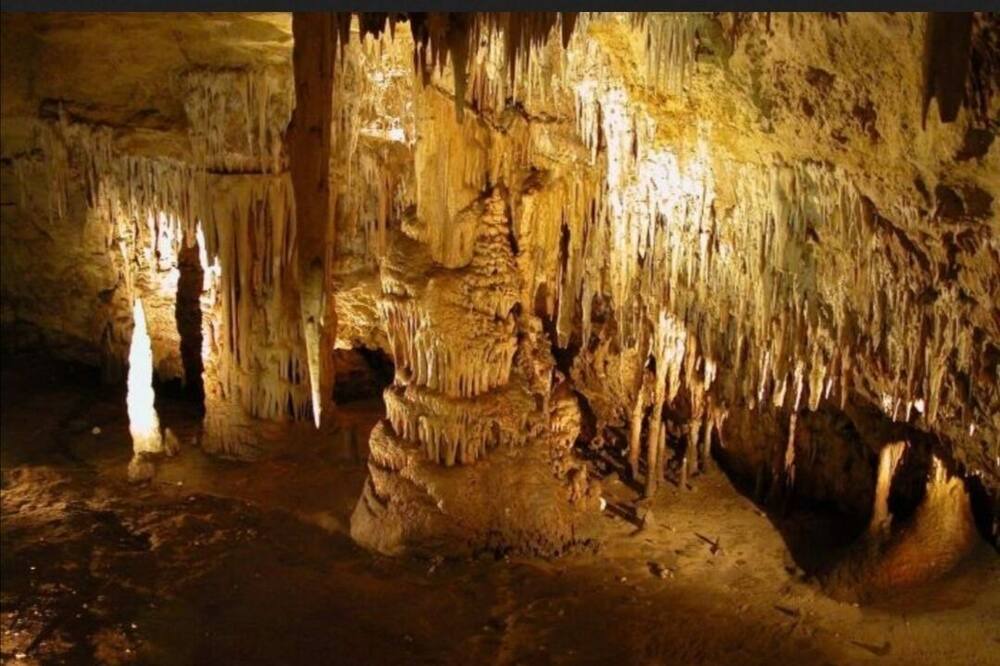 Photo of Others in Mount Gambier