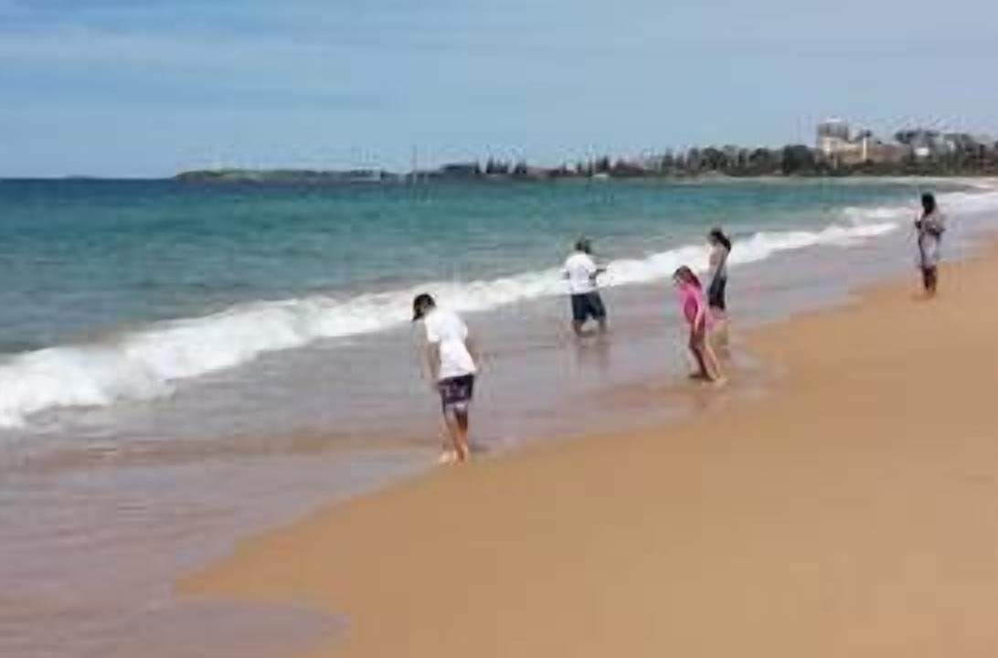 Photo of Others in Wollongong