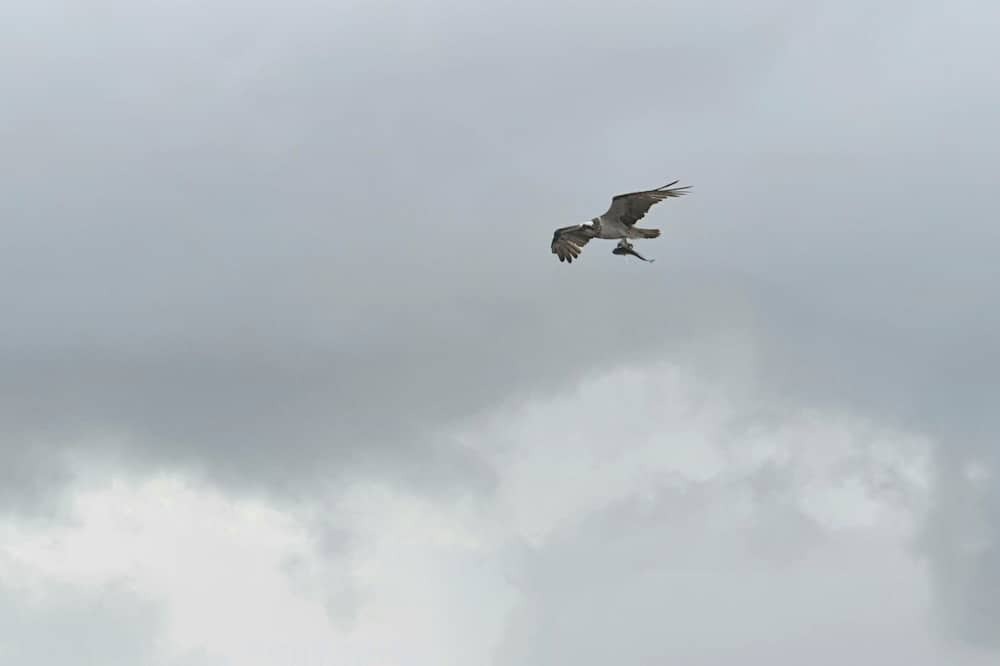Photo of Others in Paradise Point