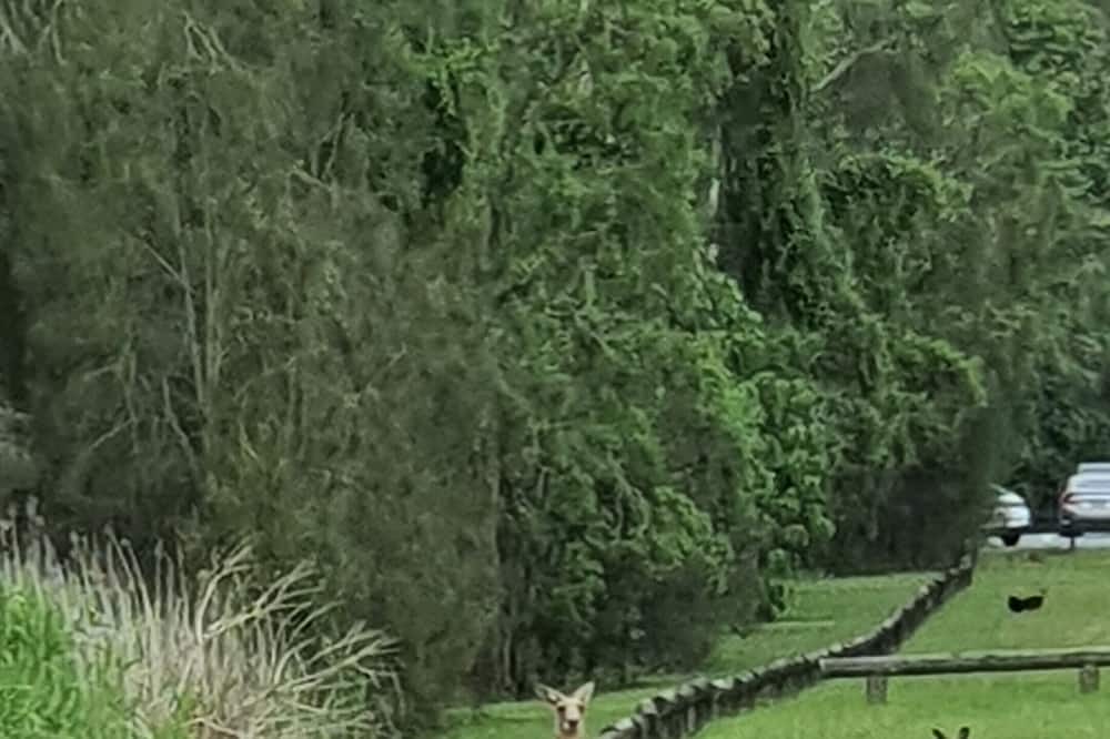 Photo of Outdoor in Paradise Point
