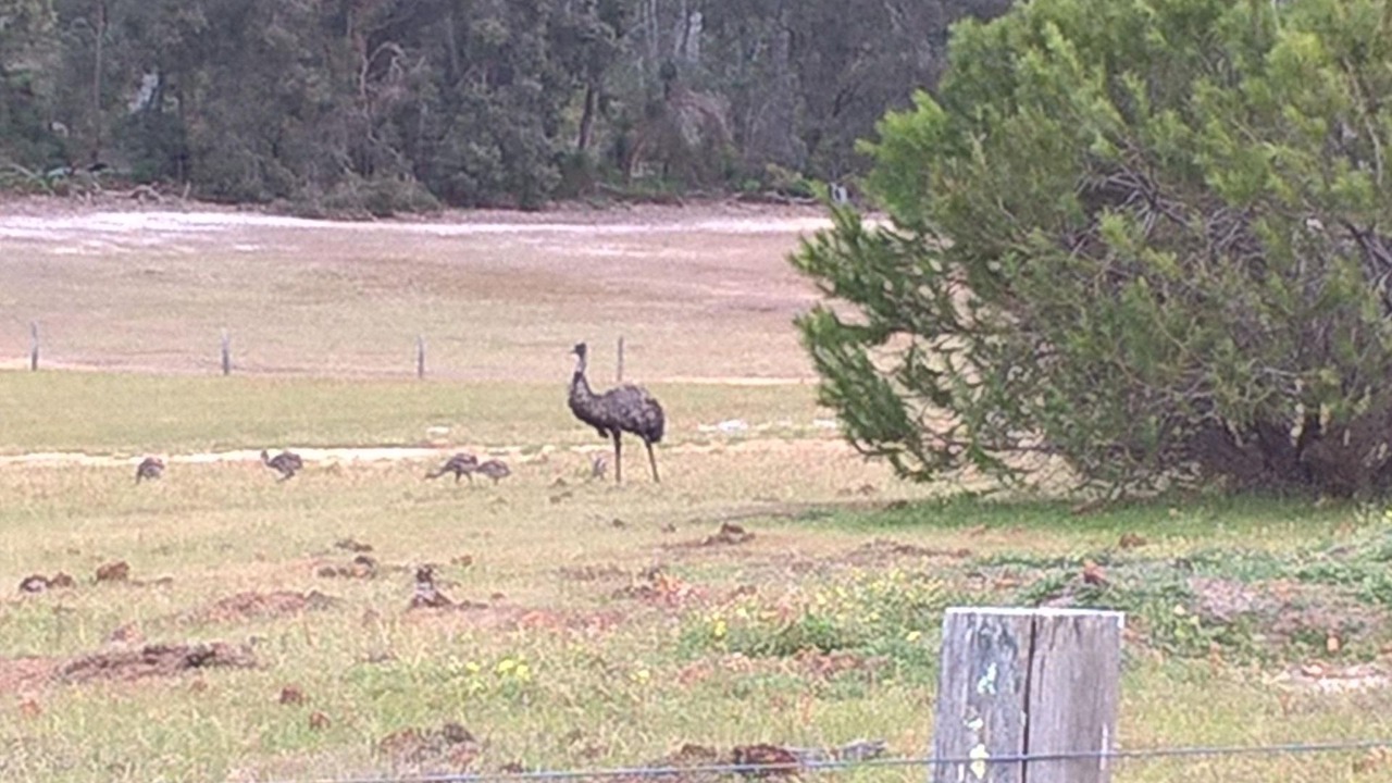 Photo of Outdoor in Nannup
