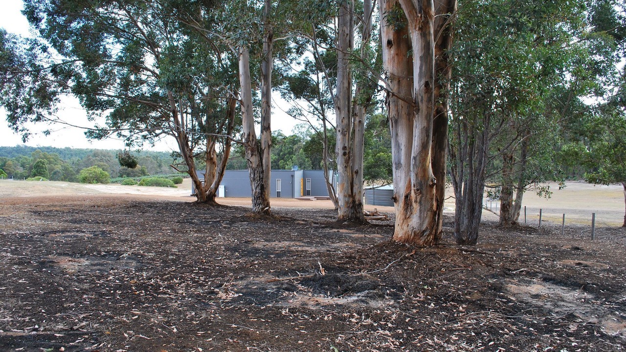 Photo of Outdoor in Nannup