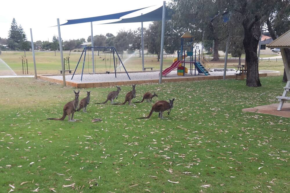 Photo of Others in Dawesville