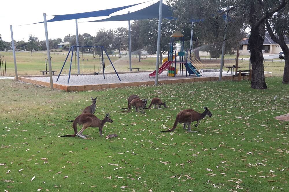 Photo of Others in Dawesville