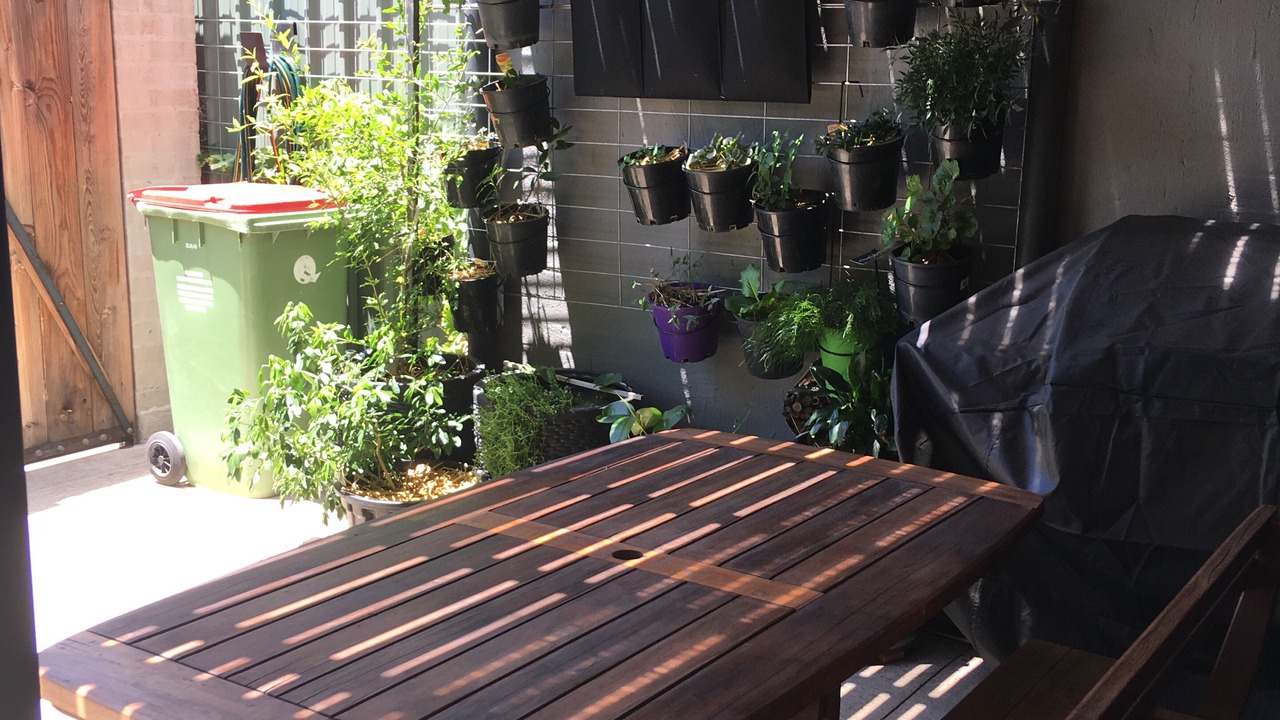 Photo of Patio Balcony in Queanbeyan West