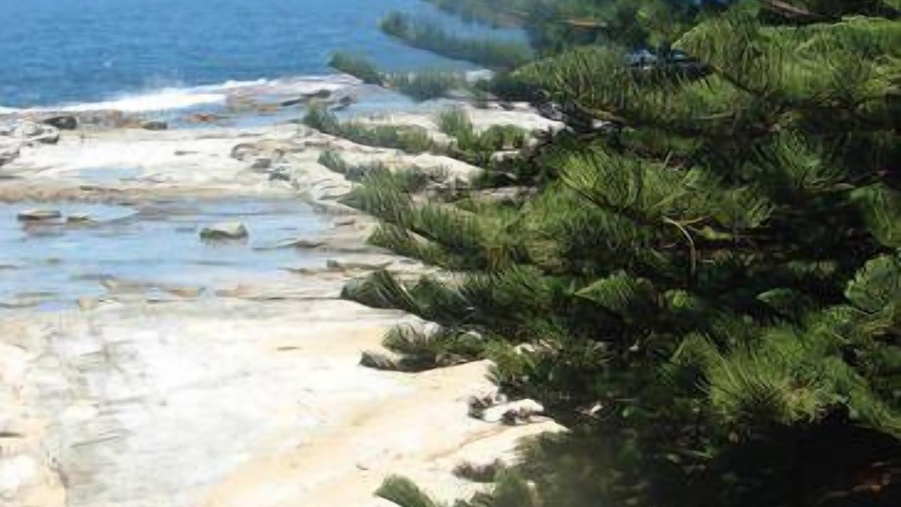 Photo of Others in Blue Bay