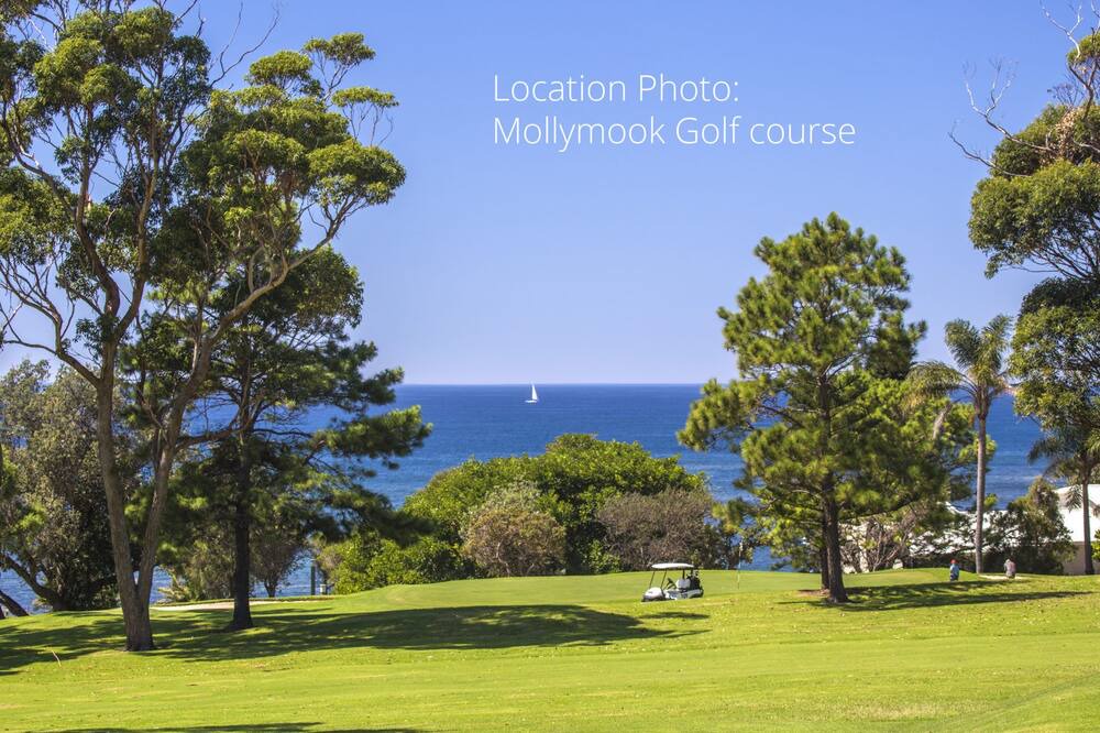 Photo of Others in Mollymook