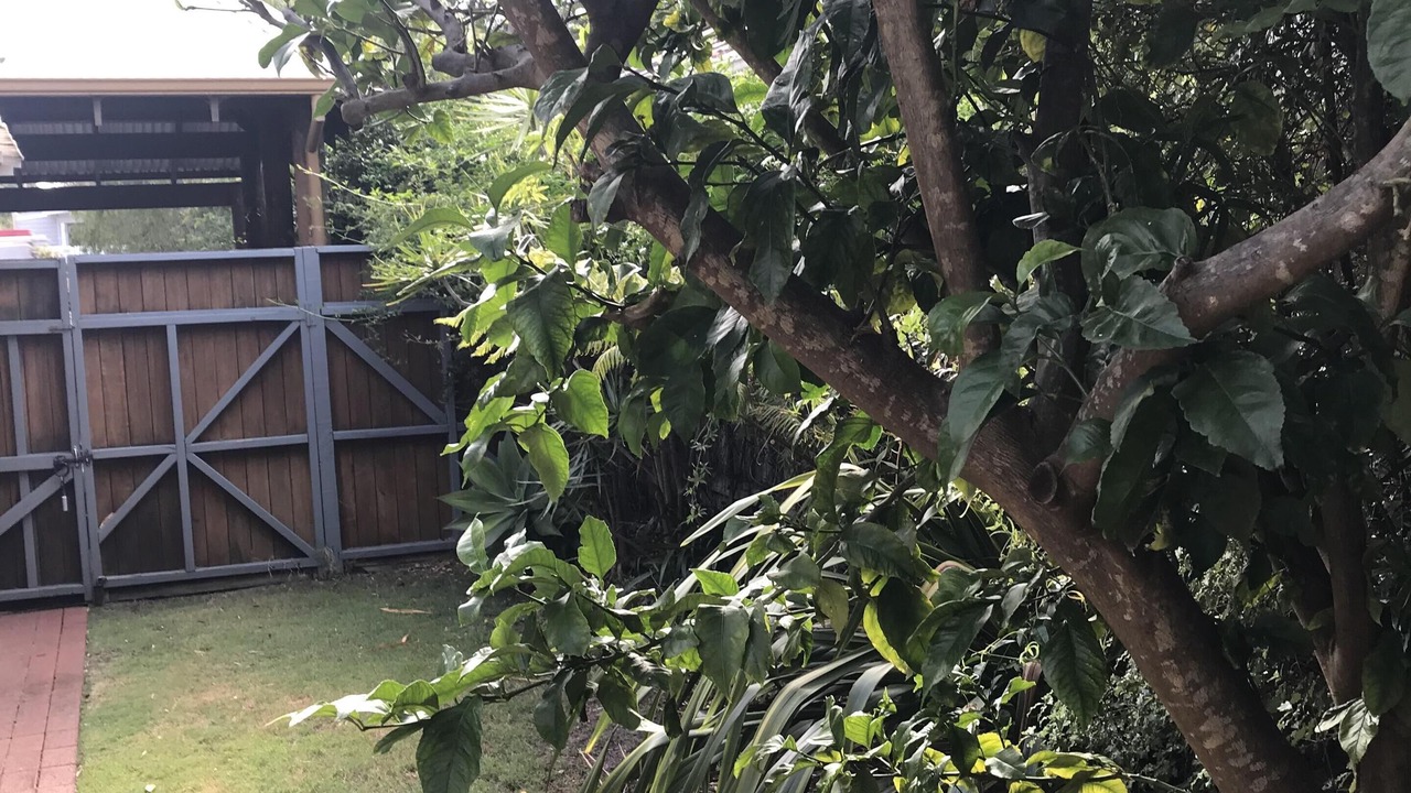Photo of Outdoor in Dunsborough