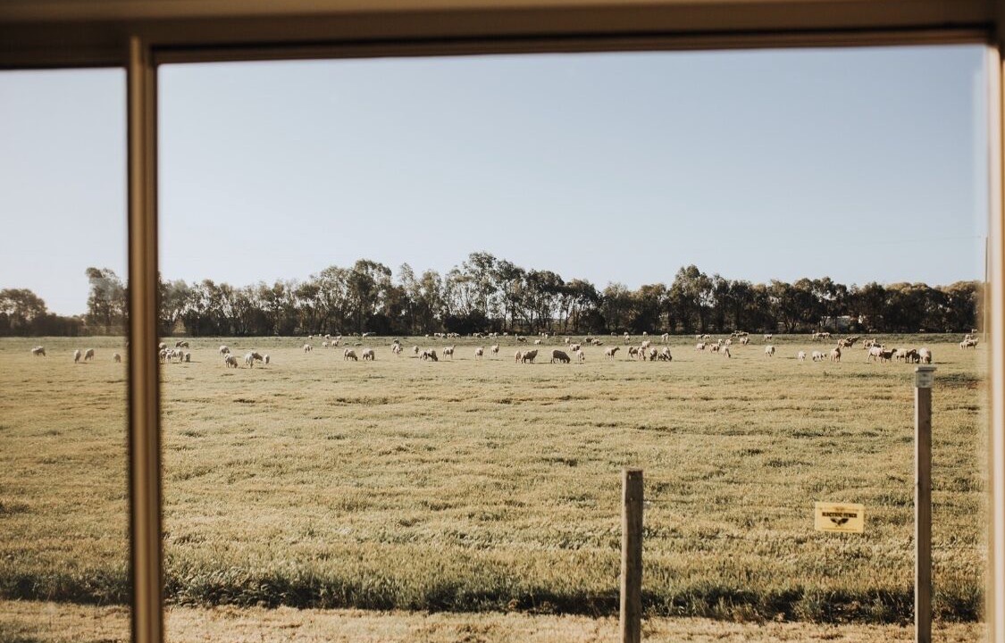 Photo of Others in Murraydale