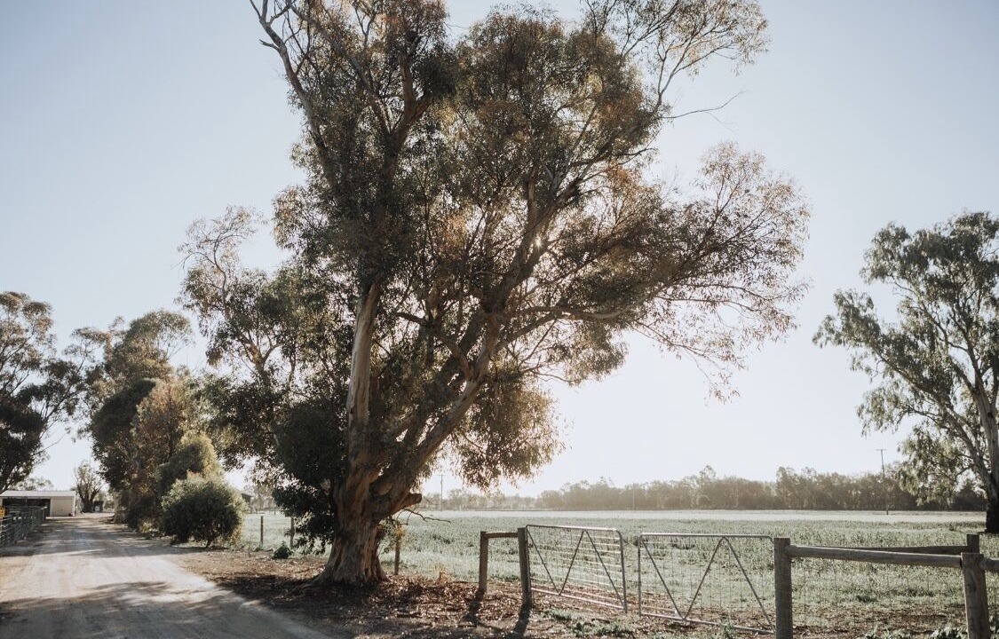 Photo of Outdoor in Murraydale