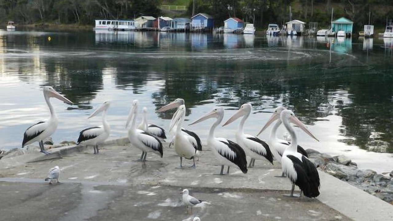 Photo of Outdoor in Narooma