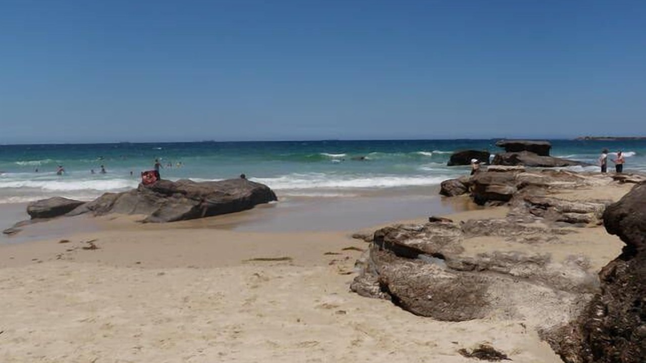 Photo of Others in Lake Munmorah