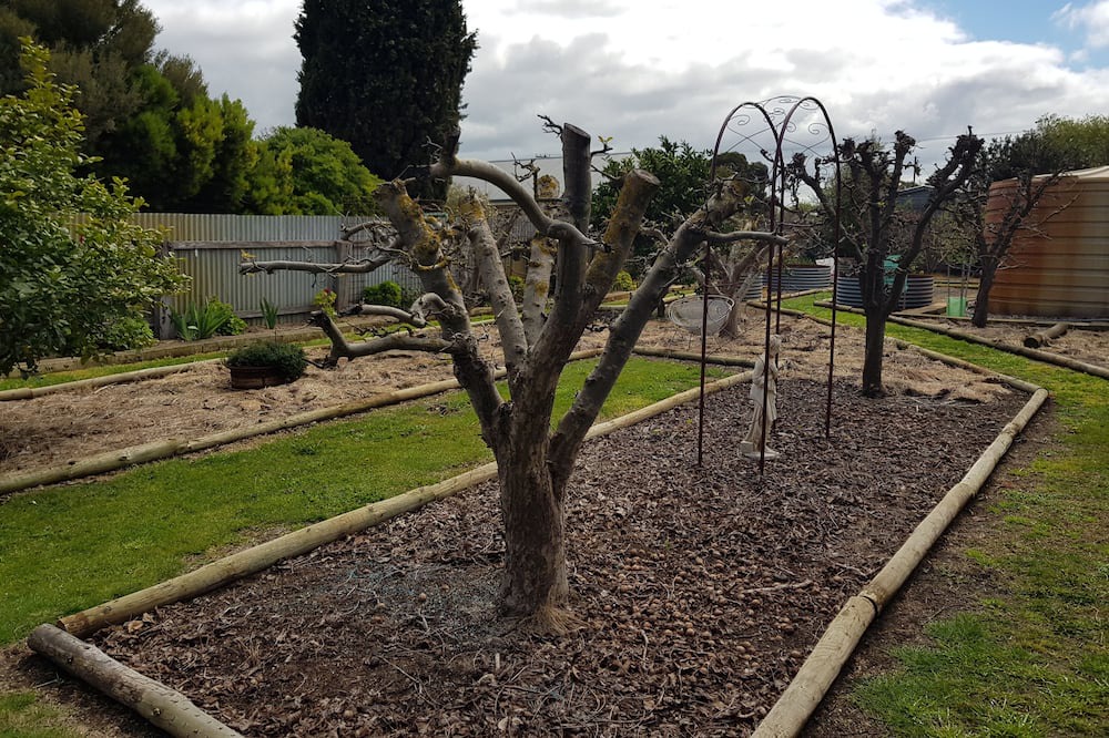 Photo of Outdoor in Penola