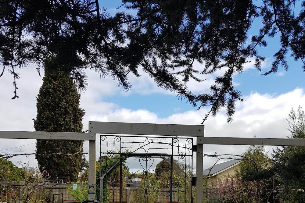 Photo of Others in Penola