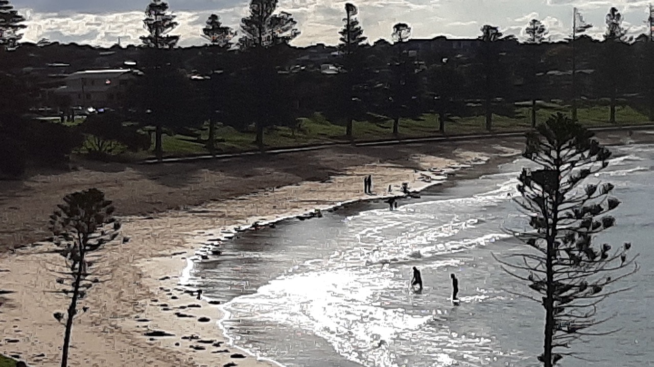 Photo of Others in Torquay