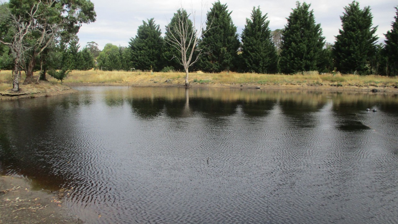 Photo of Outdoor in Durham Lead
