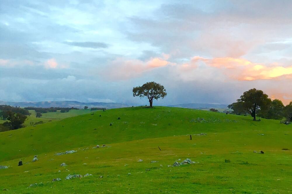 Photo of Others in Heathcote South