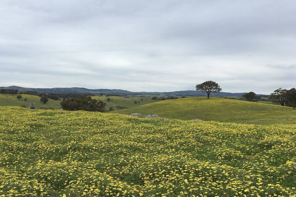 Photo of Outdoor in Heathcote South