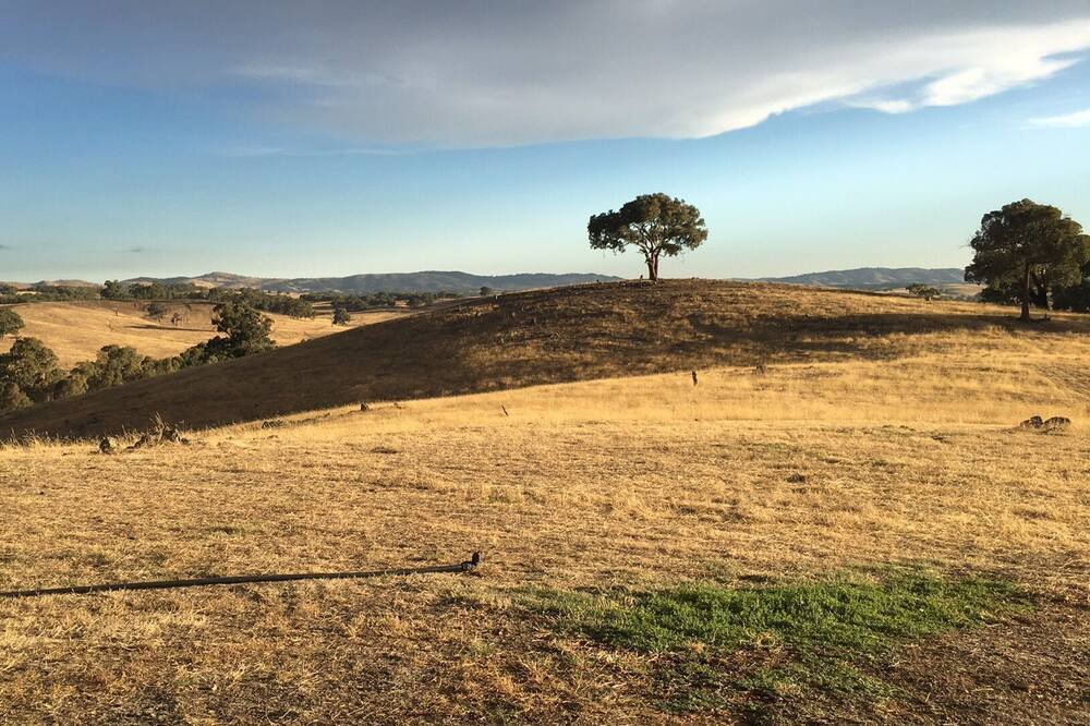 Photo of Outdoor in Heathcote South