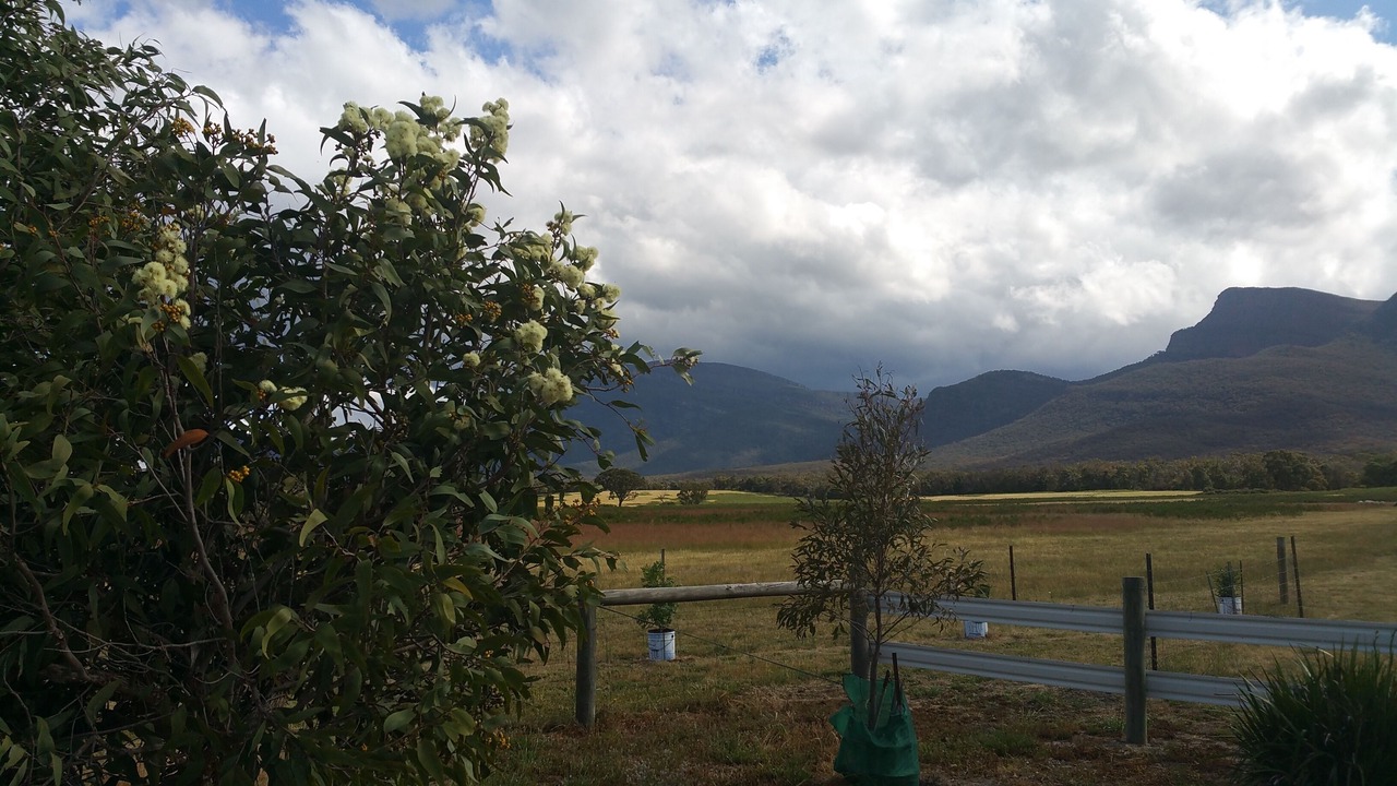 Photo of Outdoor in Pomonal