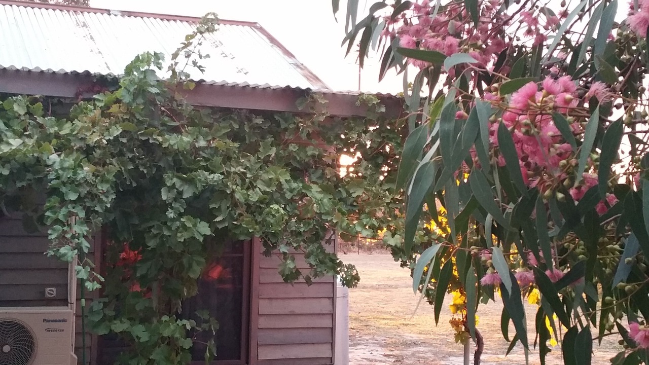 Photo of Outdoor in Pomonal