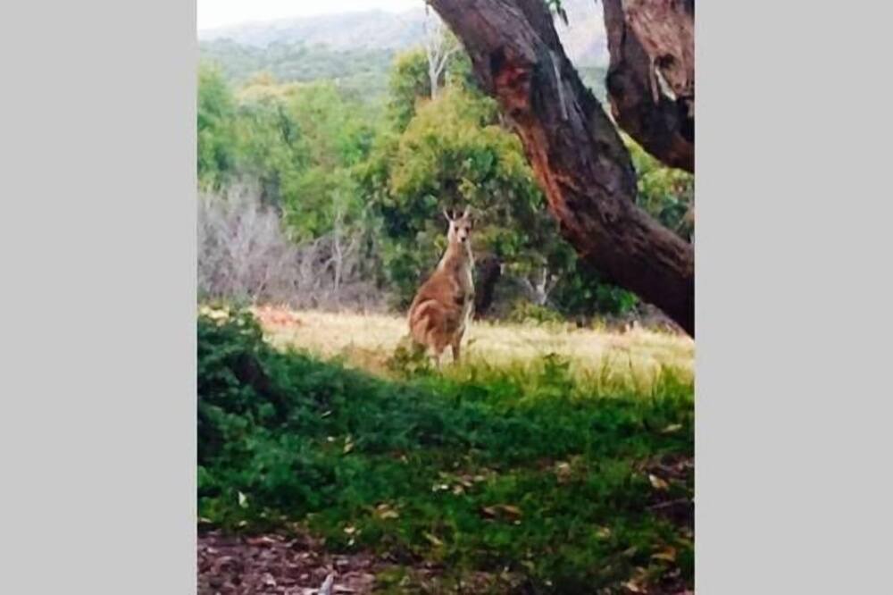 Photo of Outdoor in Moggs Creek