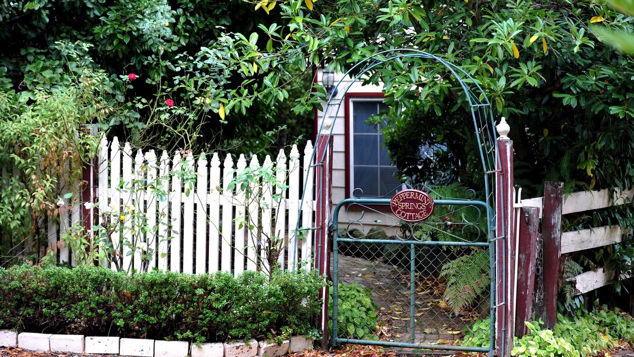 Photo of Outdoor in Musk