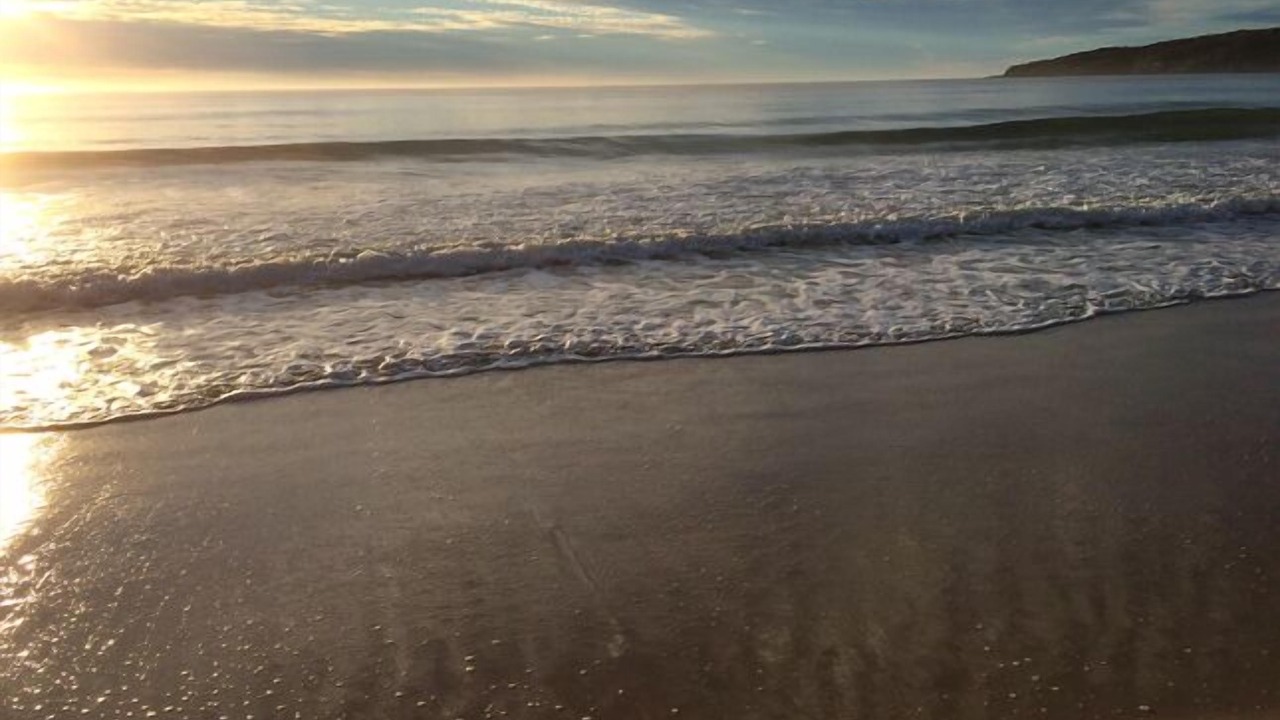 Photo of Others in Pambula Beach