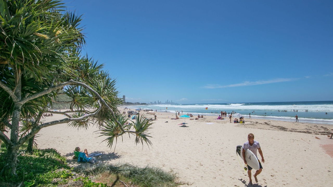 Photo of Others in Burleigh Heads