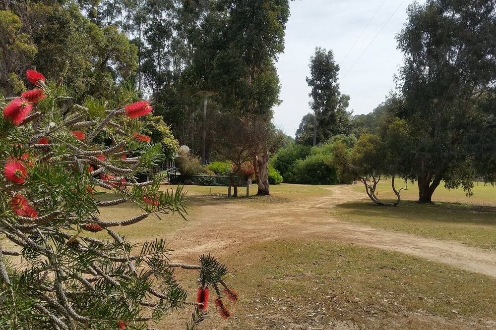 Photo of Outdoor in Jalbarragup