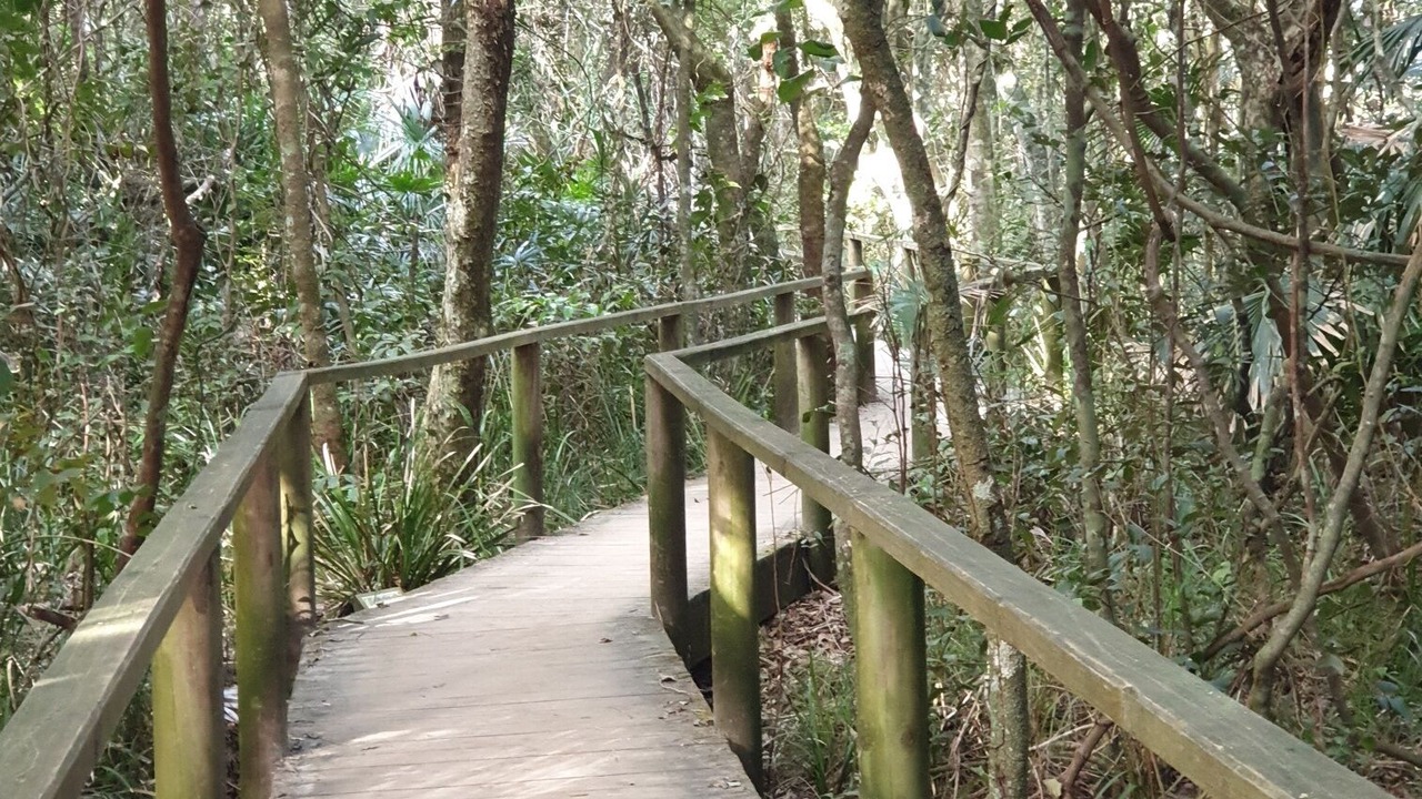 Photo of Outdoor in Smiths Lake