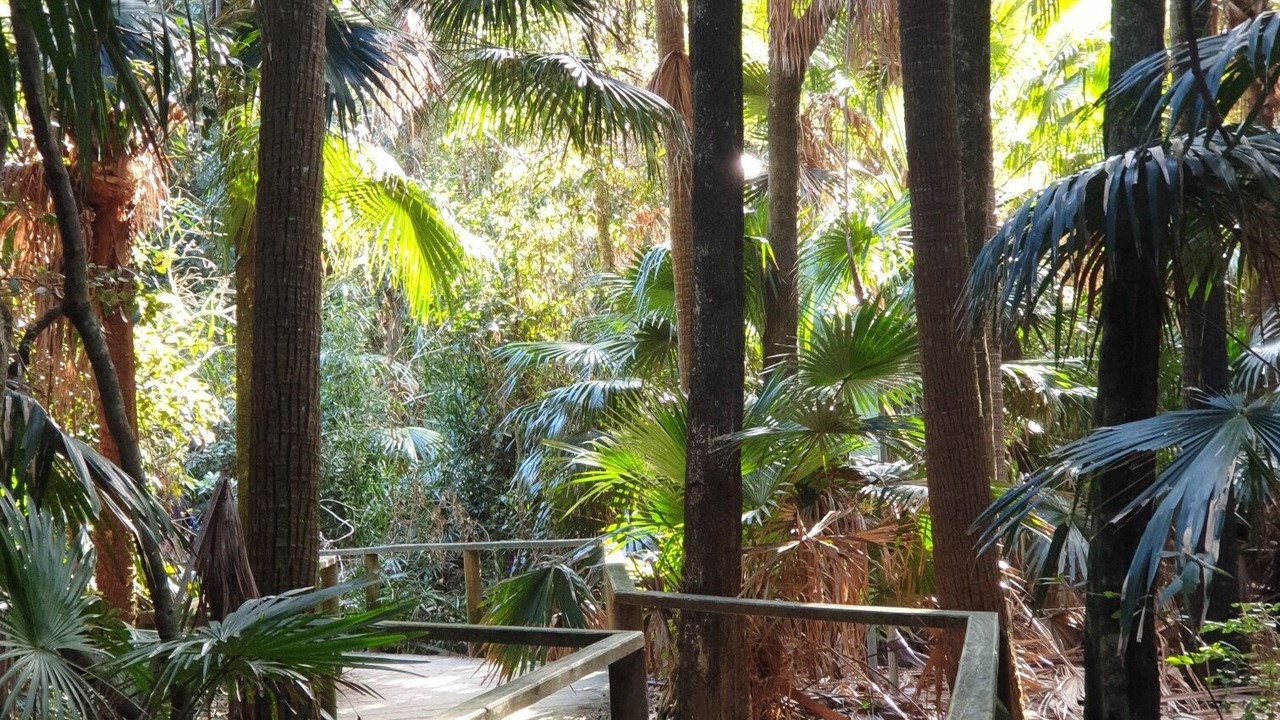 Photo of Outdoor in Smiths Lake