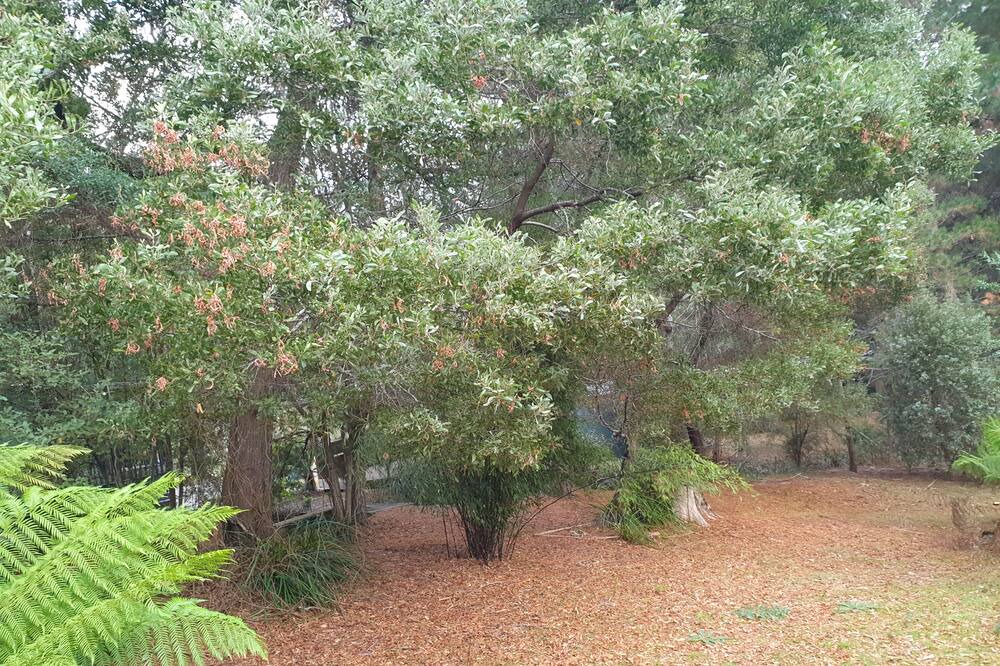Photo of Outdoor in Claude Road