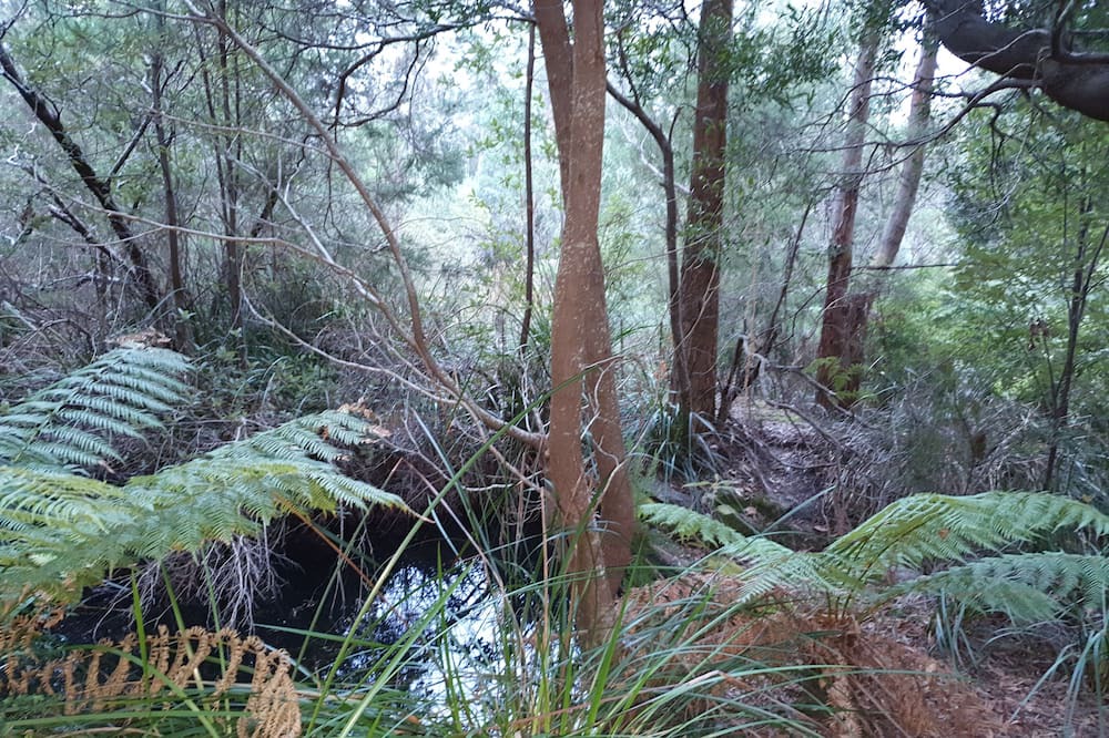 Photo of Outdoor in Claude Road