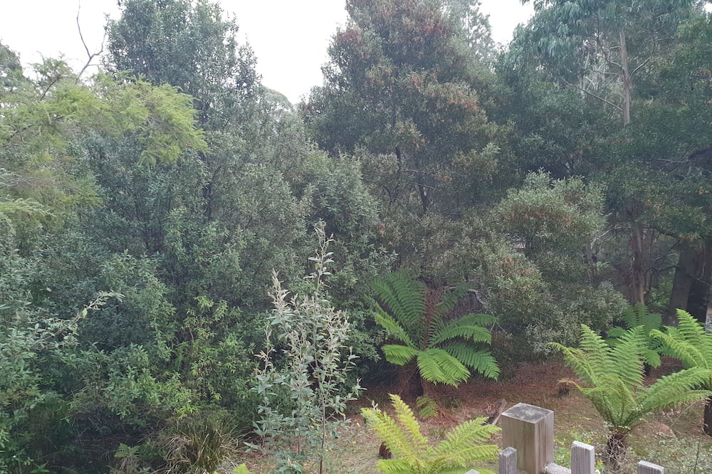 Photo of Outdoor in Claude Road