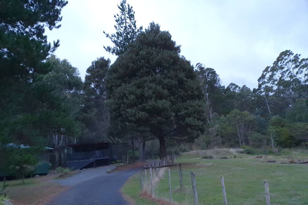 Photo of Outdoor in Claude Road