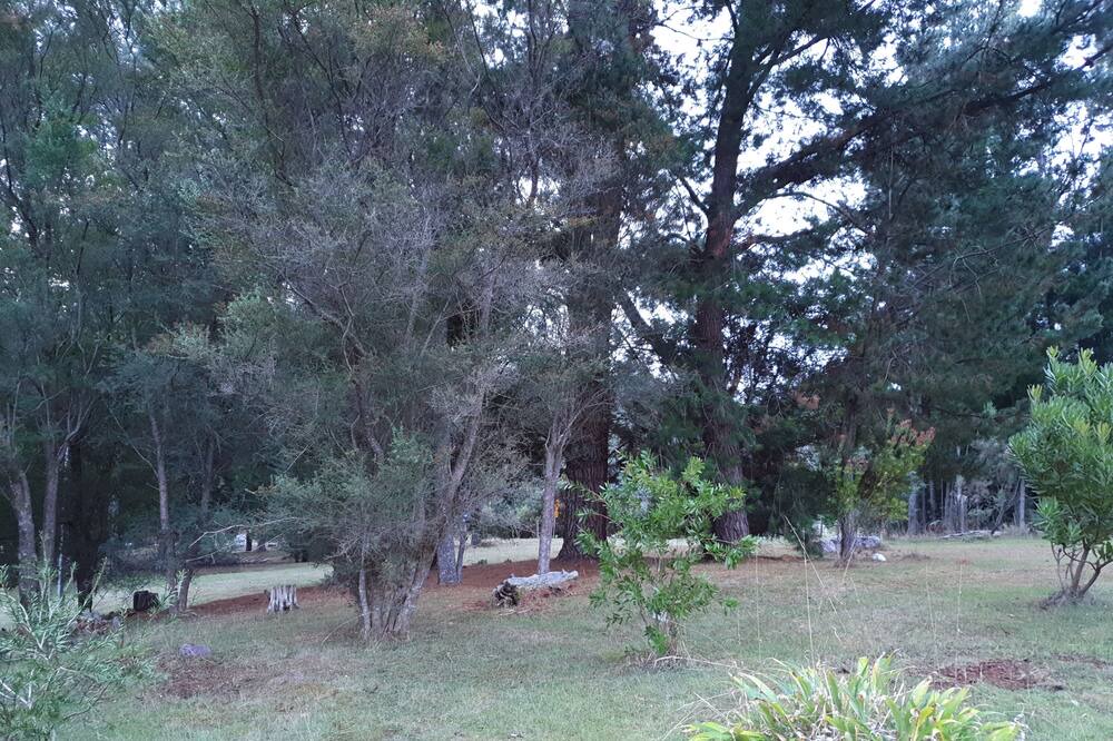 Photo of Outdoor in Claude Road