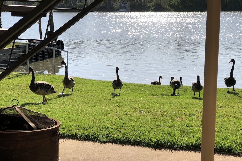 Photo of Others in Mannum