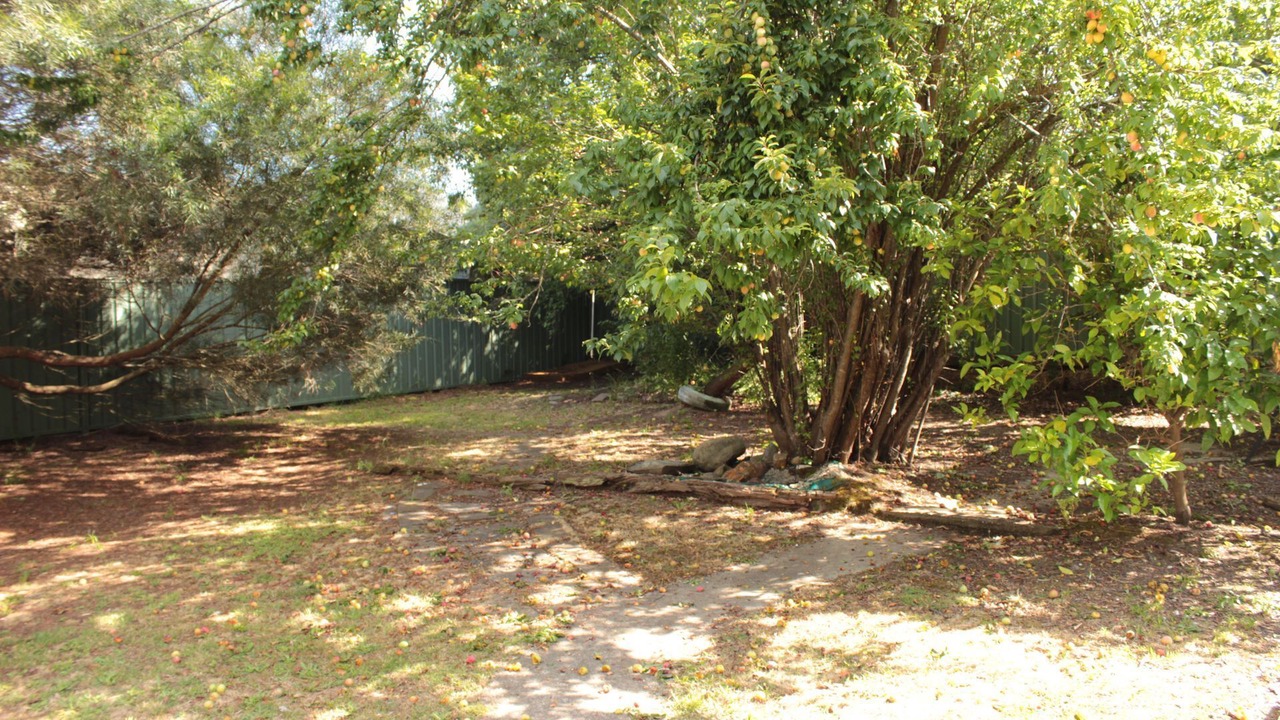 Photo of Outdoor in Eildon