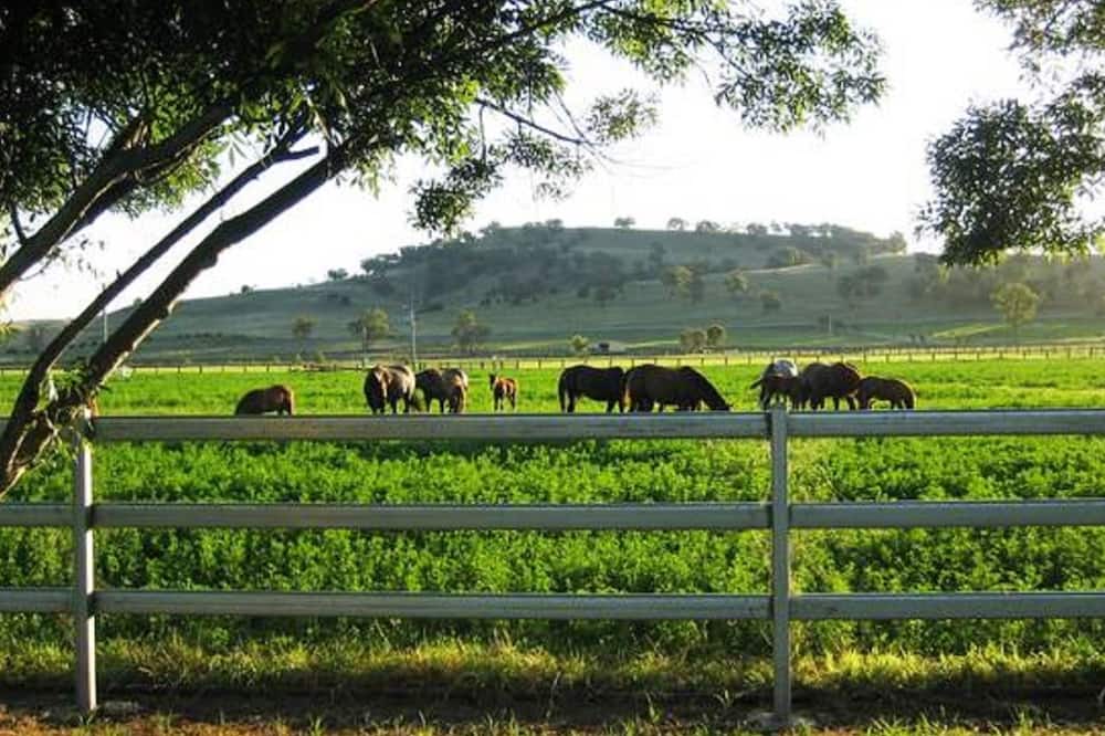 Photo of Outdoor in Scone