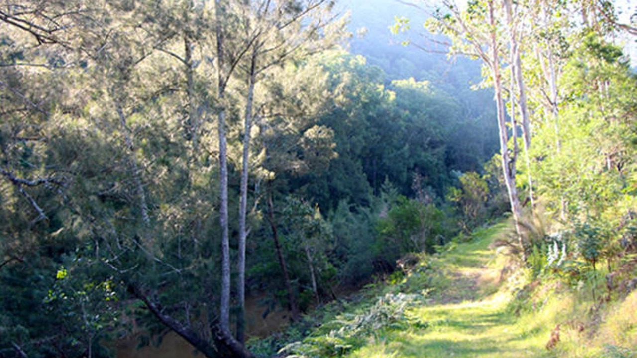Photo of Outdoor in Wollombi