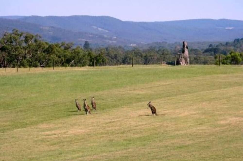 Photo of Others in Badger Creek